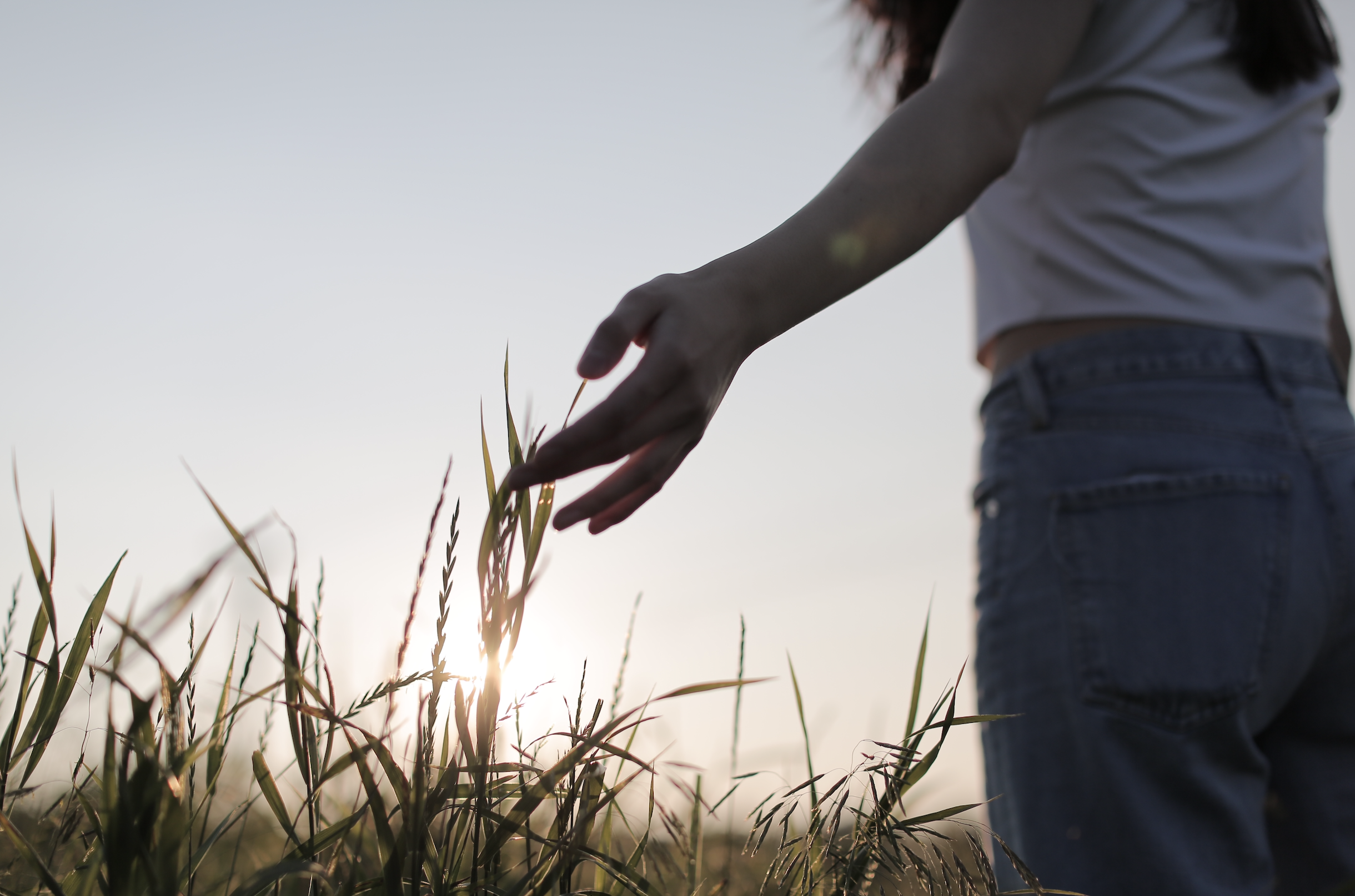 Cinematic lifestyle portrait of a person in a gray shirt and jeans touching tall grass at golden hour, warm natural light and calm outdoor atmosphere, photography by Jing Xiao