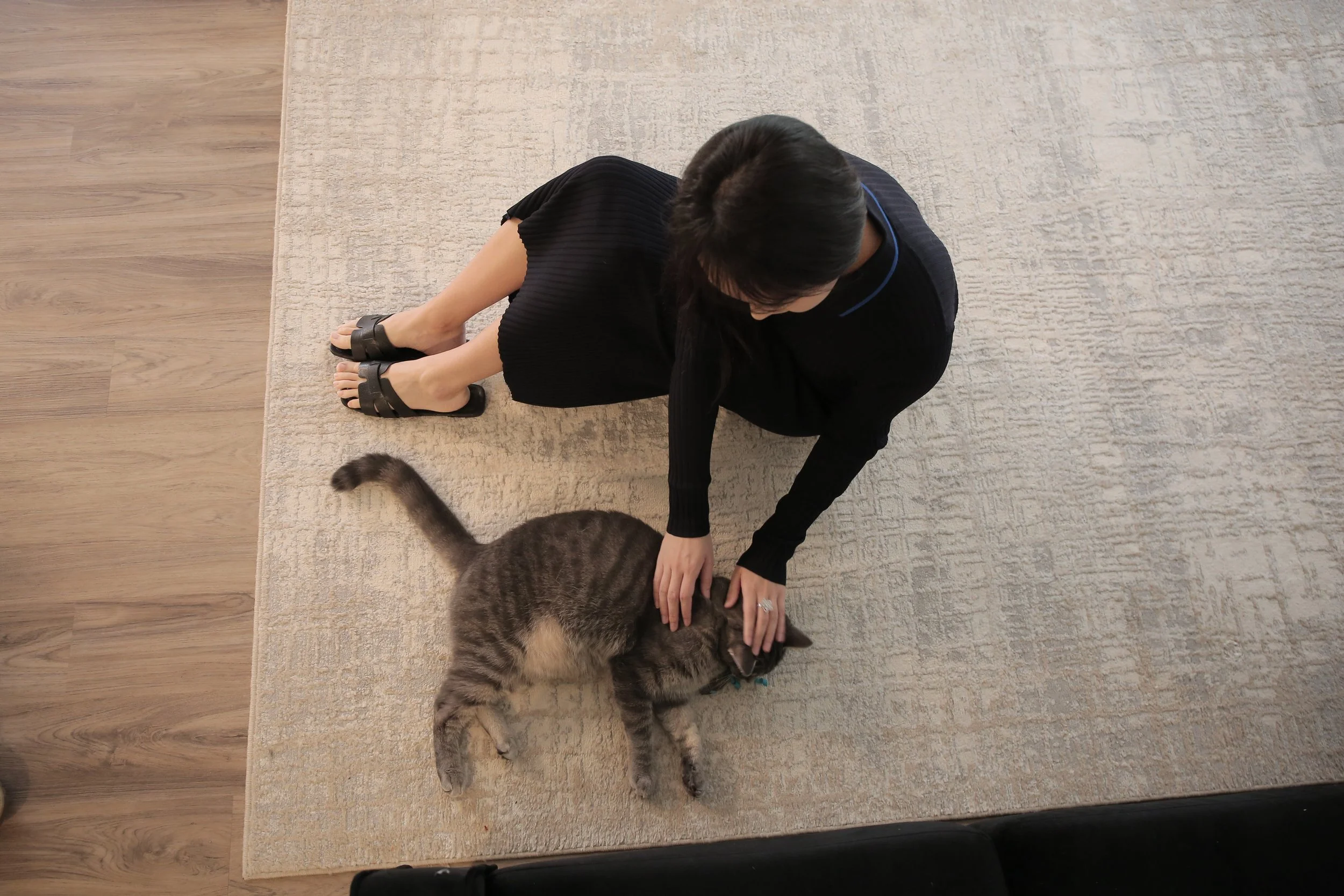 俯拍猫.JPG