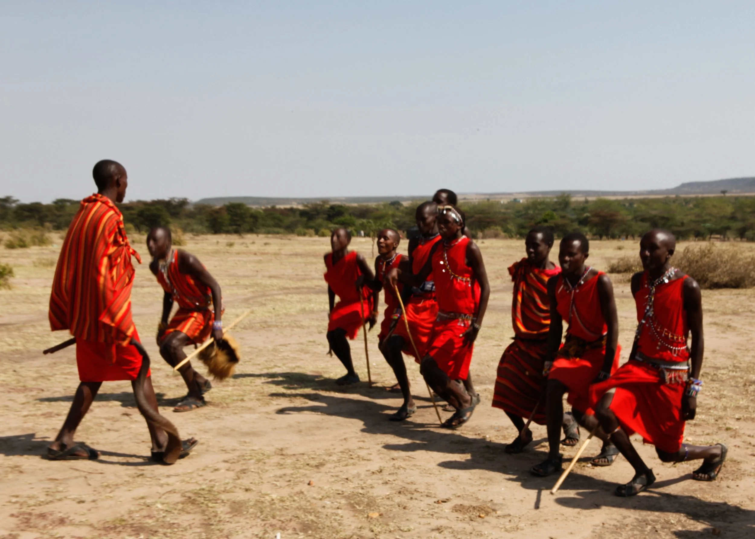 Group of Maasai people, women and men, dressed in traditional red shukas and jewelry, participating in a dance or ritual in an open, grassy landscape with sparse trees under a clear sky.
