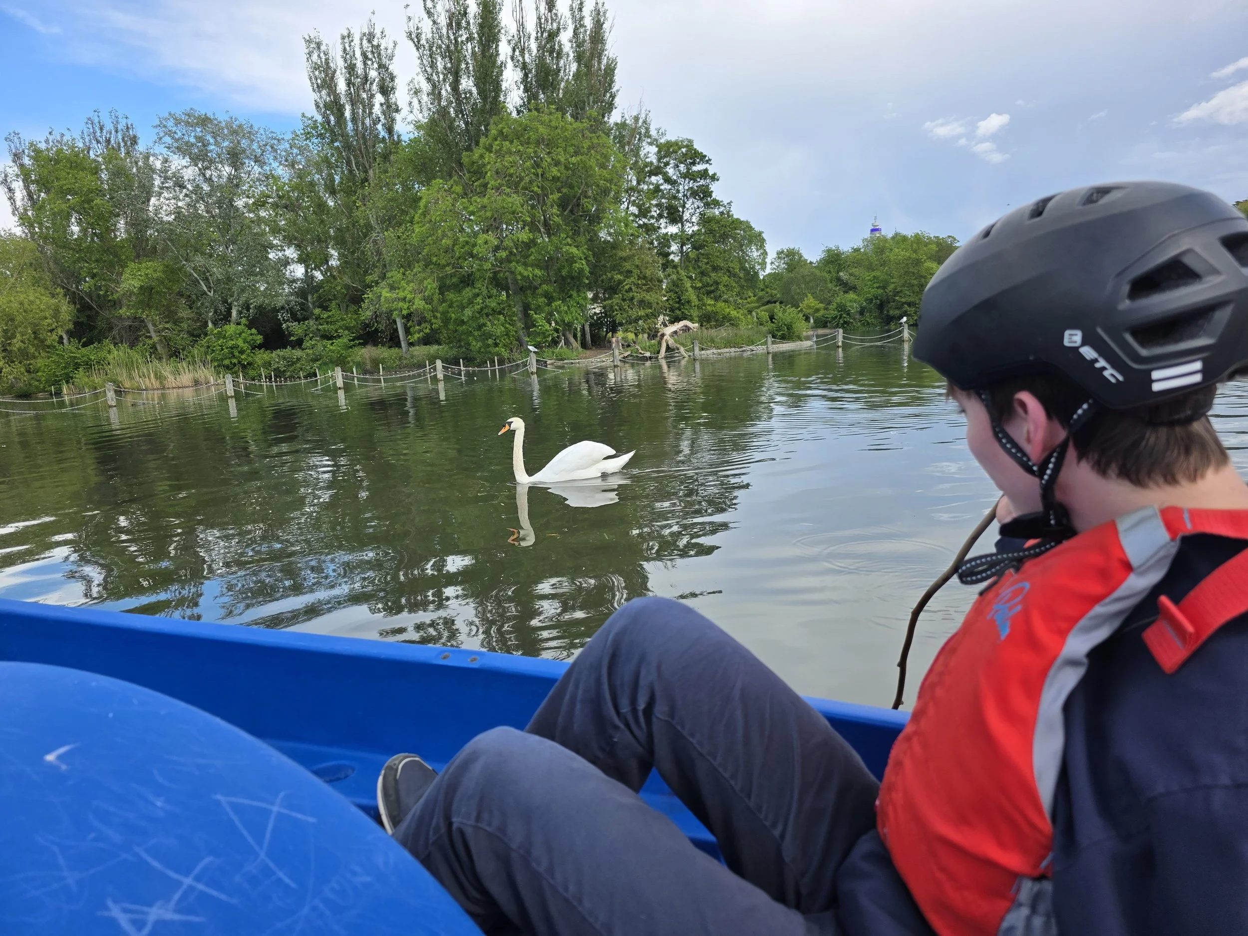 A person wearing a black helmet and red jacket sitting in a blue boat on a lake, with a swan swimming nearby and lush green trees along the shore under a partly cloudy sky.