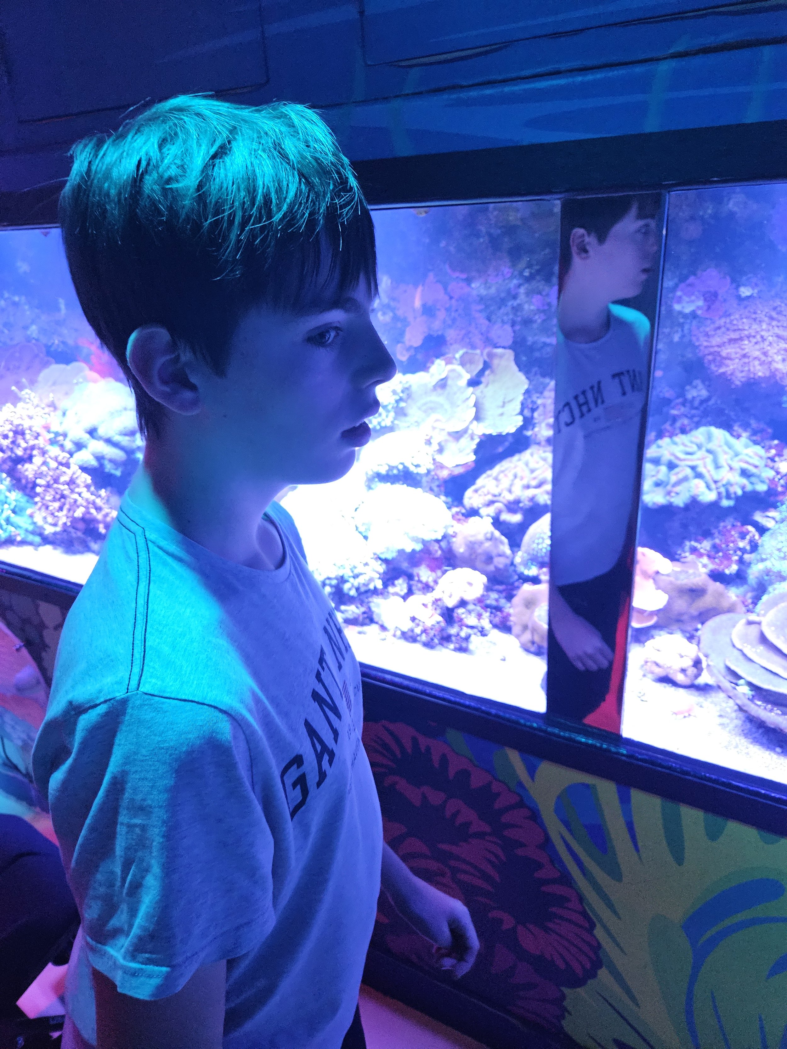 A young boy in a white T-shirt looking at an aquarium tank with coral and marine life, illuminated by blue lighting, with his reflection visible in the glass.