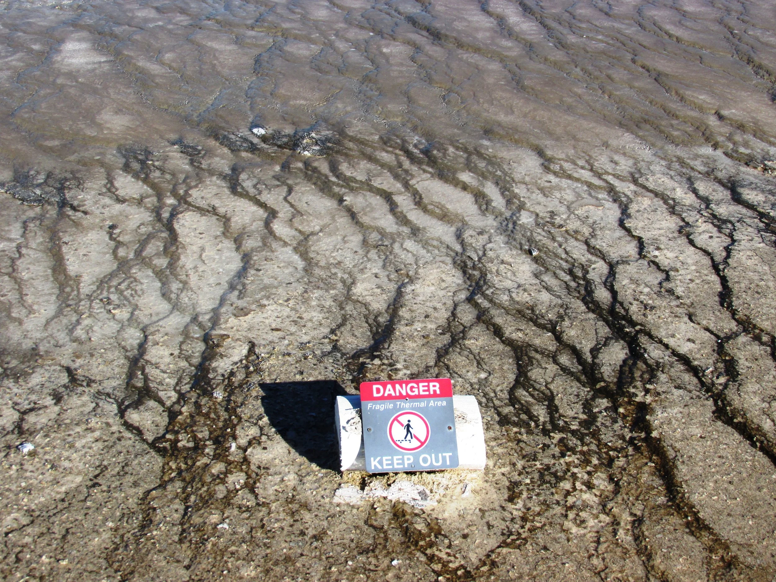 Charged with Thermal Trespass in Yellowstone? A Defense Attorney's Guide to 36 C.F.R. § 7.13(j)