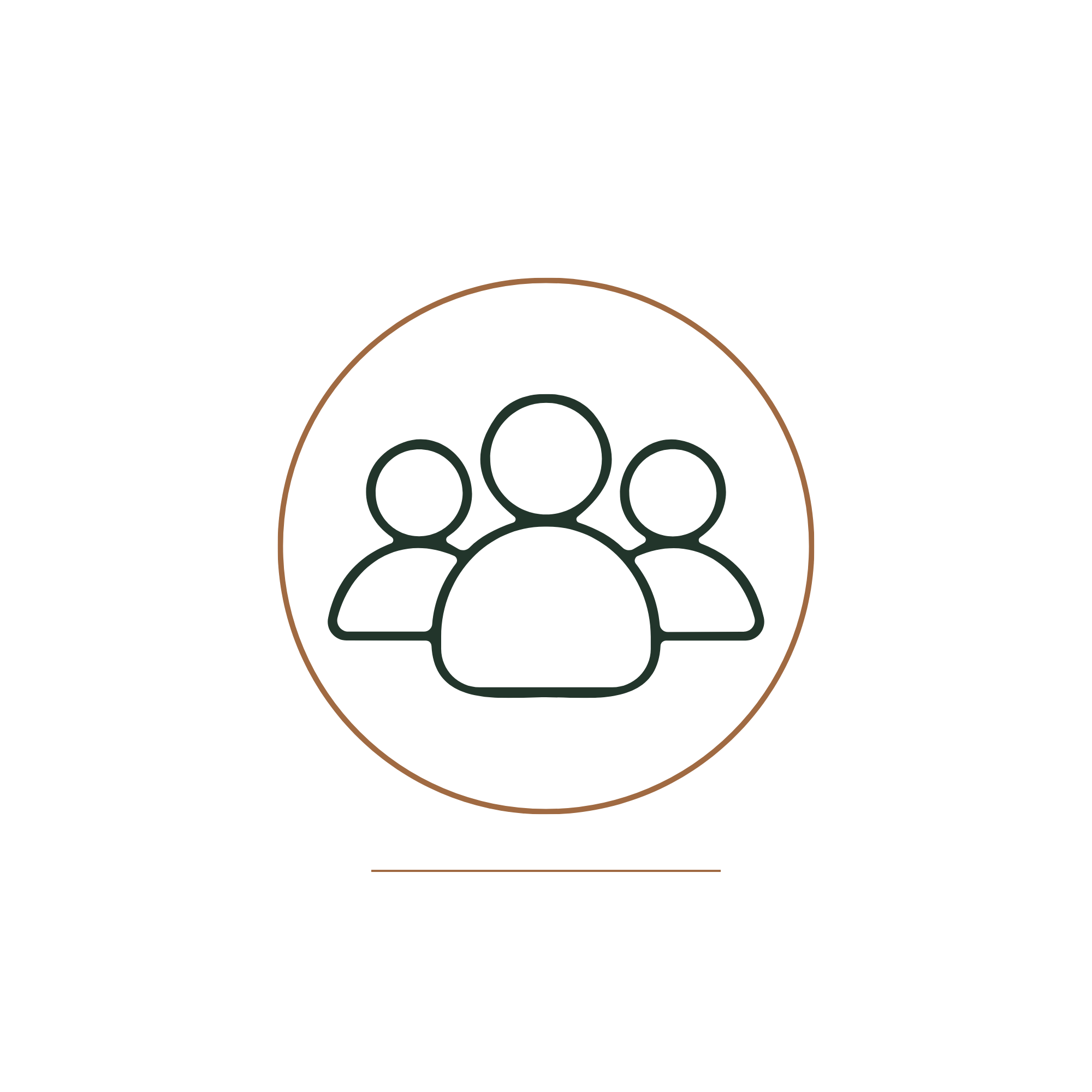 Icon representing a group of people inside a circle, with a triangle above it, symbolizing community or team.