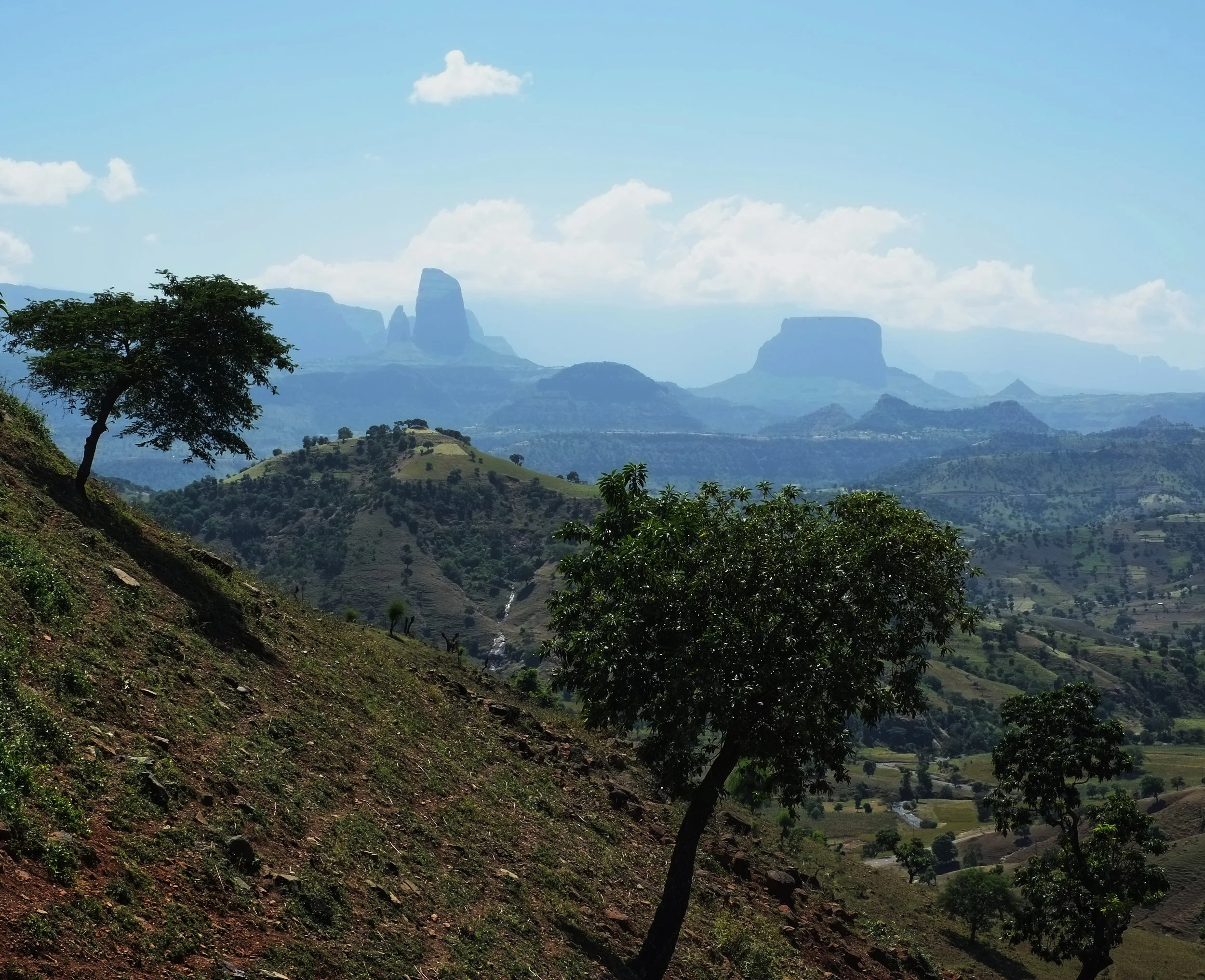 XE1 Ethiopia 1950_1.jpg