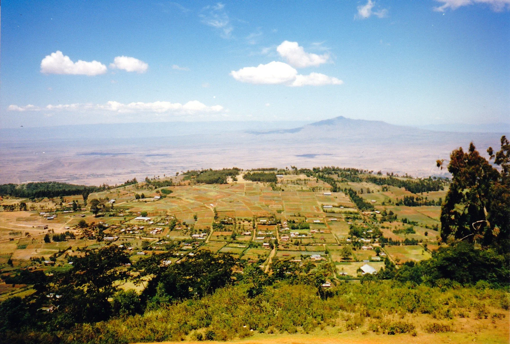 Untitled-Scanned-01.jpg