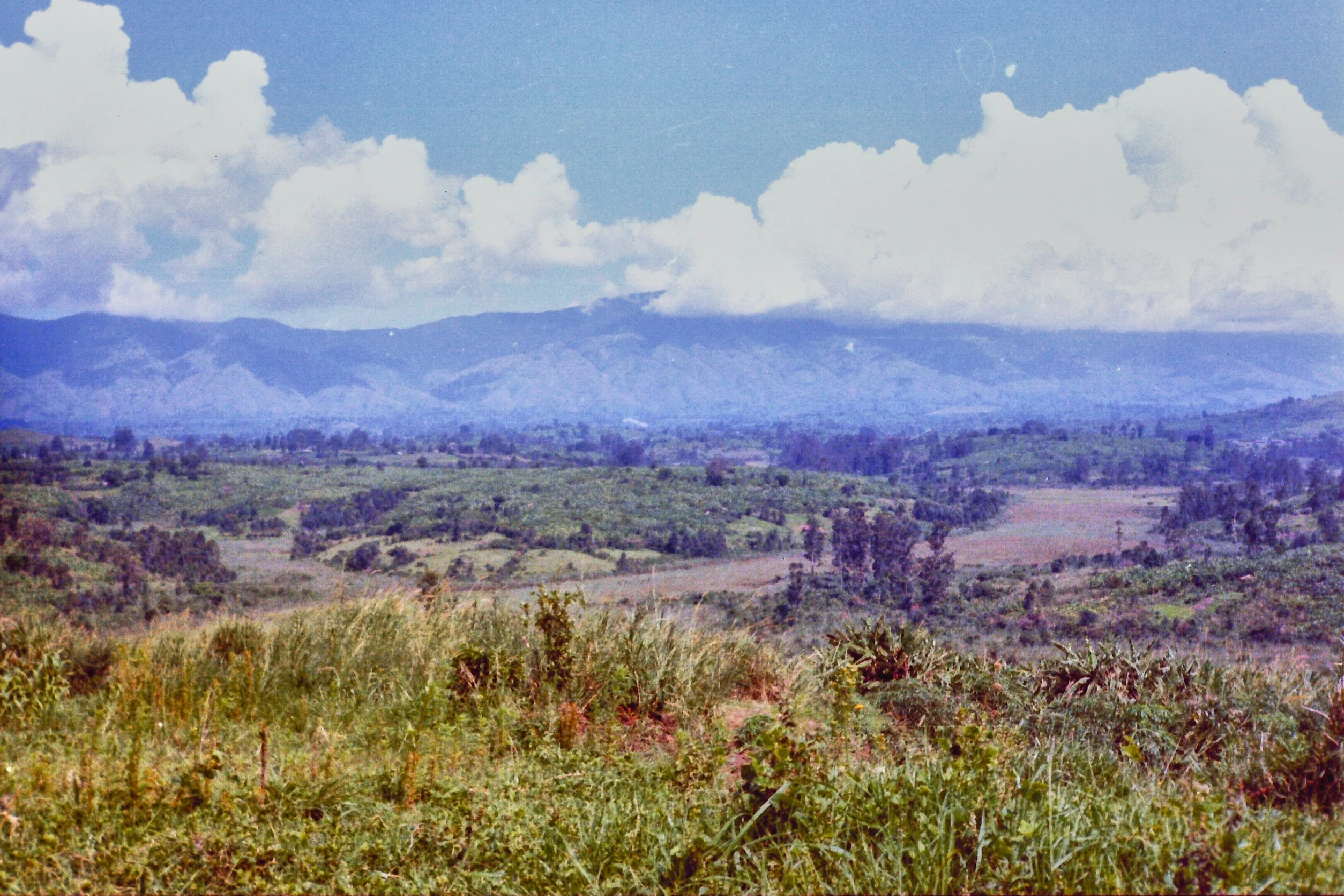 Scanned Uganda 27.jpg