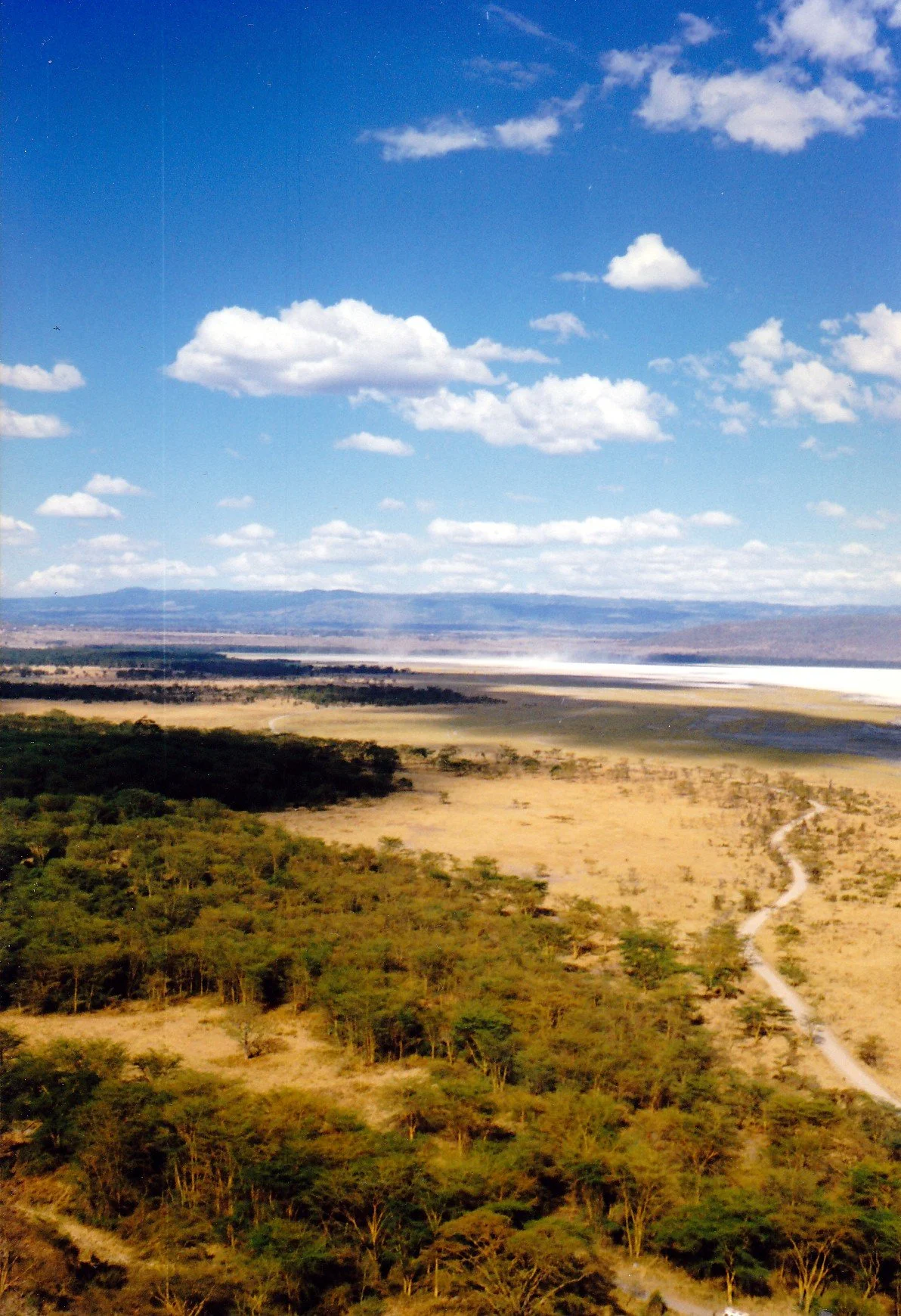 Untitled-Scanned-23.jpg