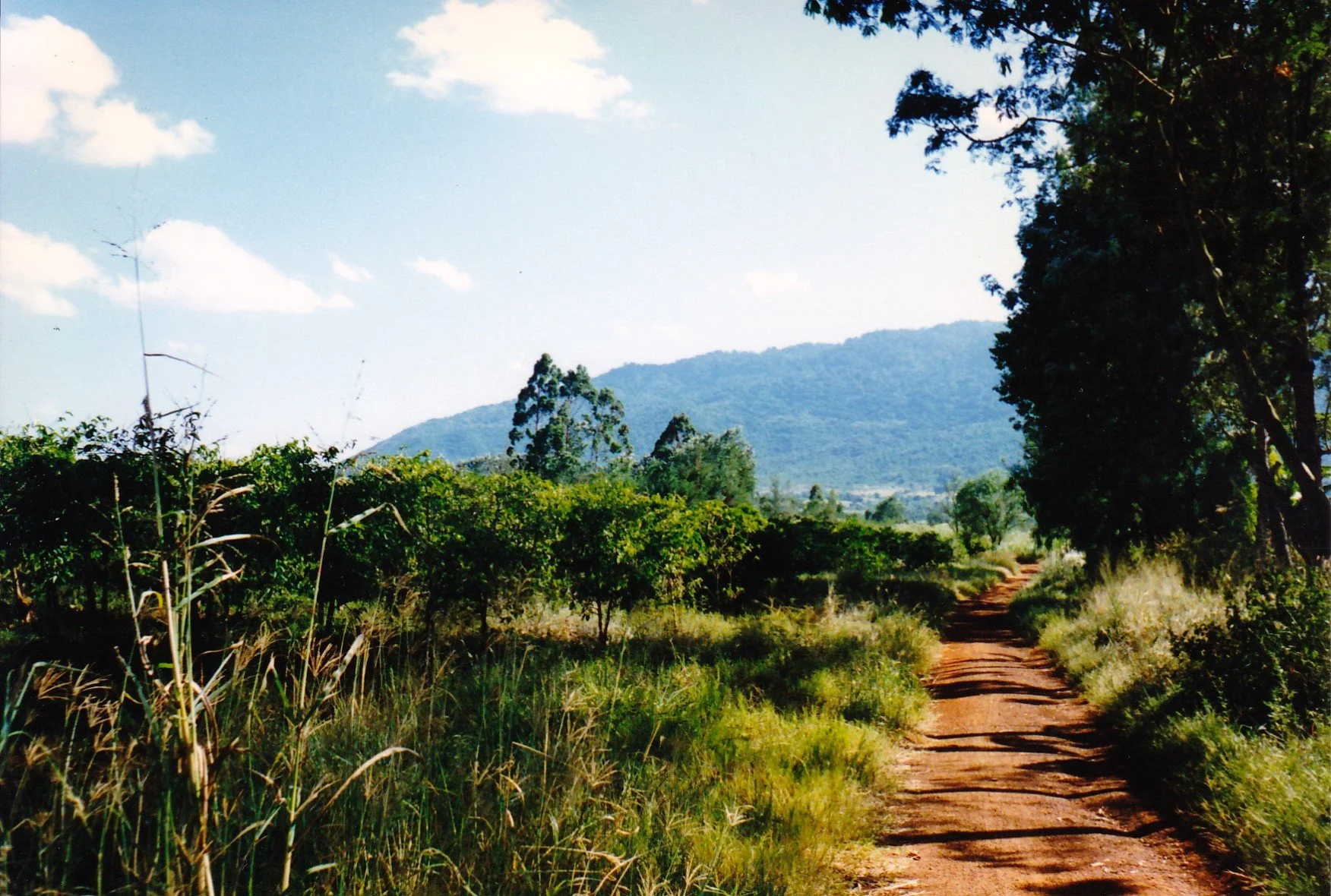 Untitled-Scanned-66.jpg