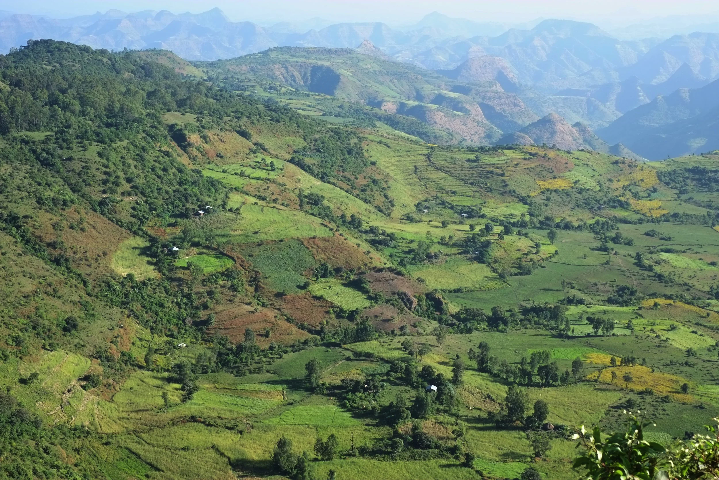XE1 Ethiopia 1801.jpg