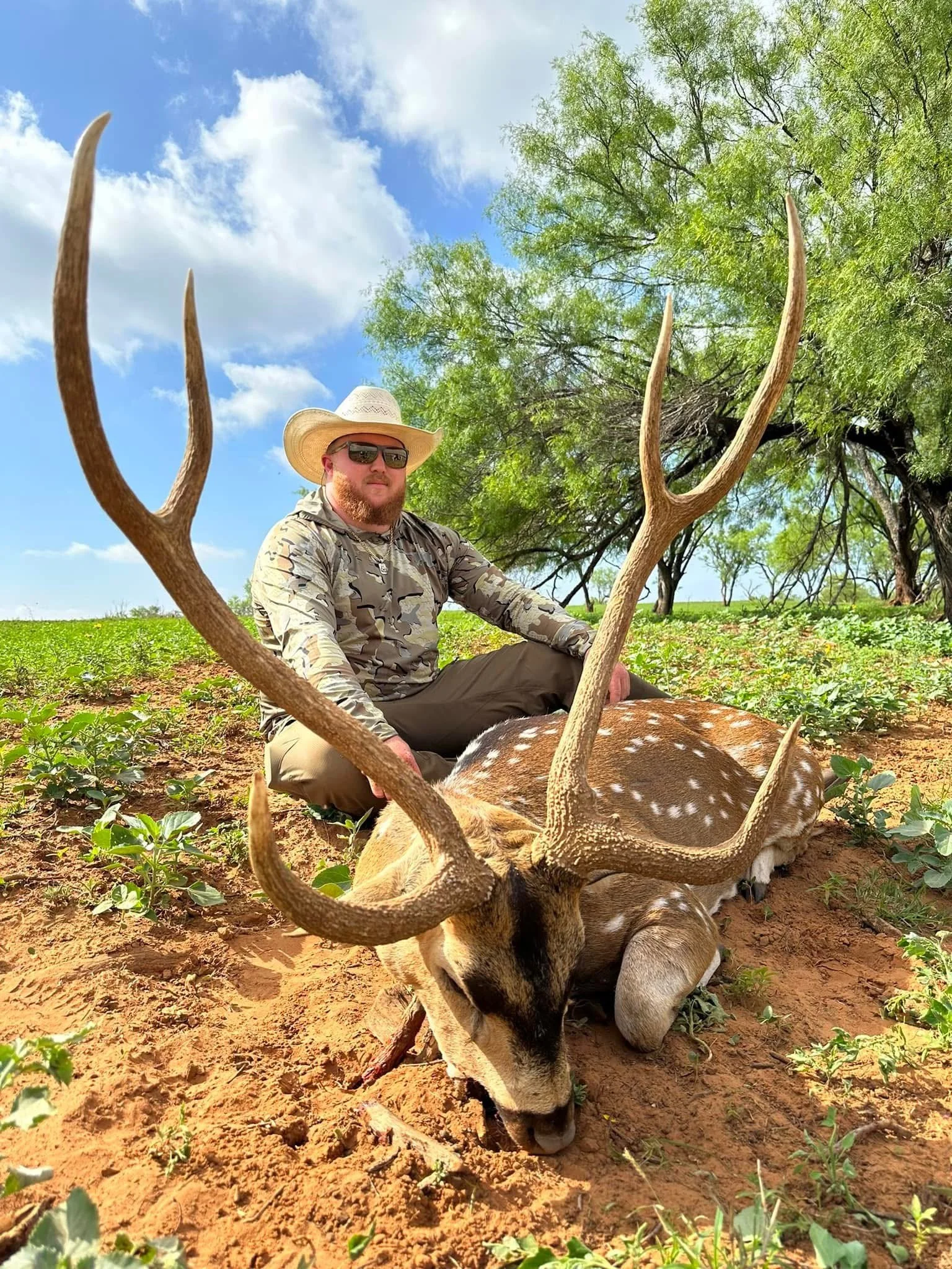 Axis Buck G2 Ranch Big Exotic Exotics Deer.JPG