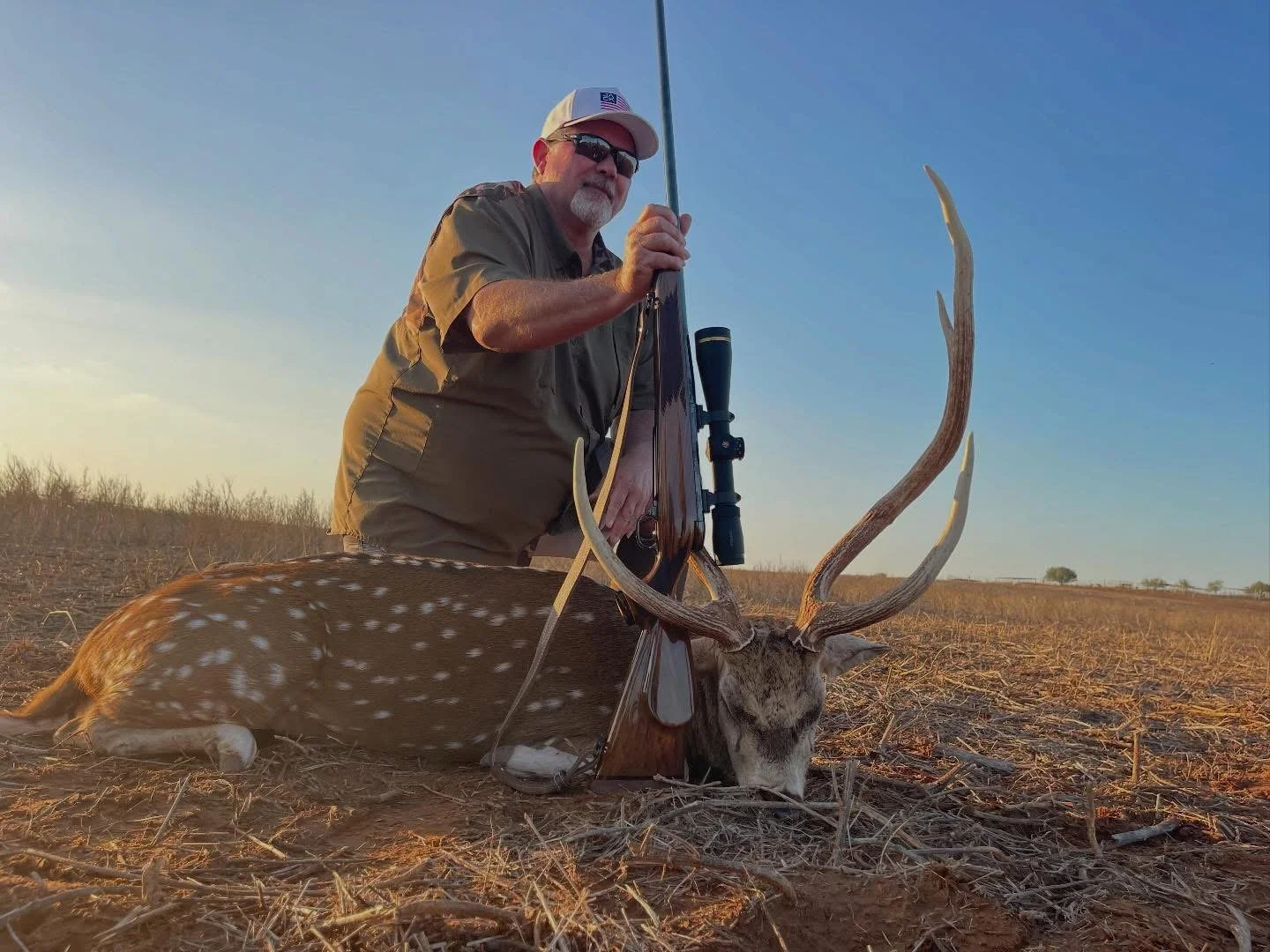 Axis Buck Texas Hunt Non Typical G2 Ranch Safari.JPG
