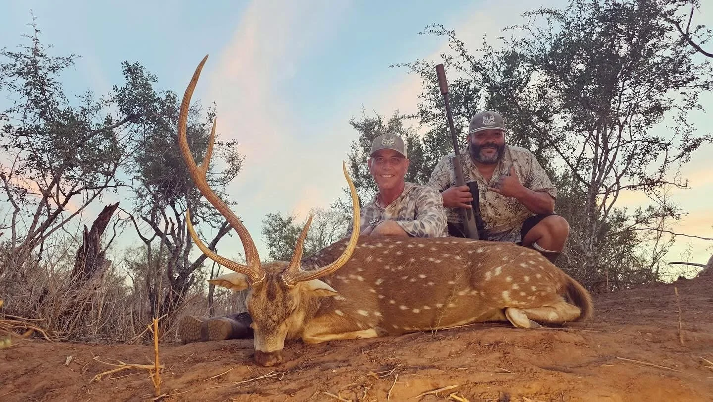 Axis Buck Non Typical G2 Ranch Texas Exotics.JPG