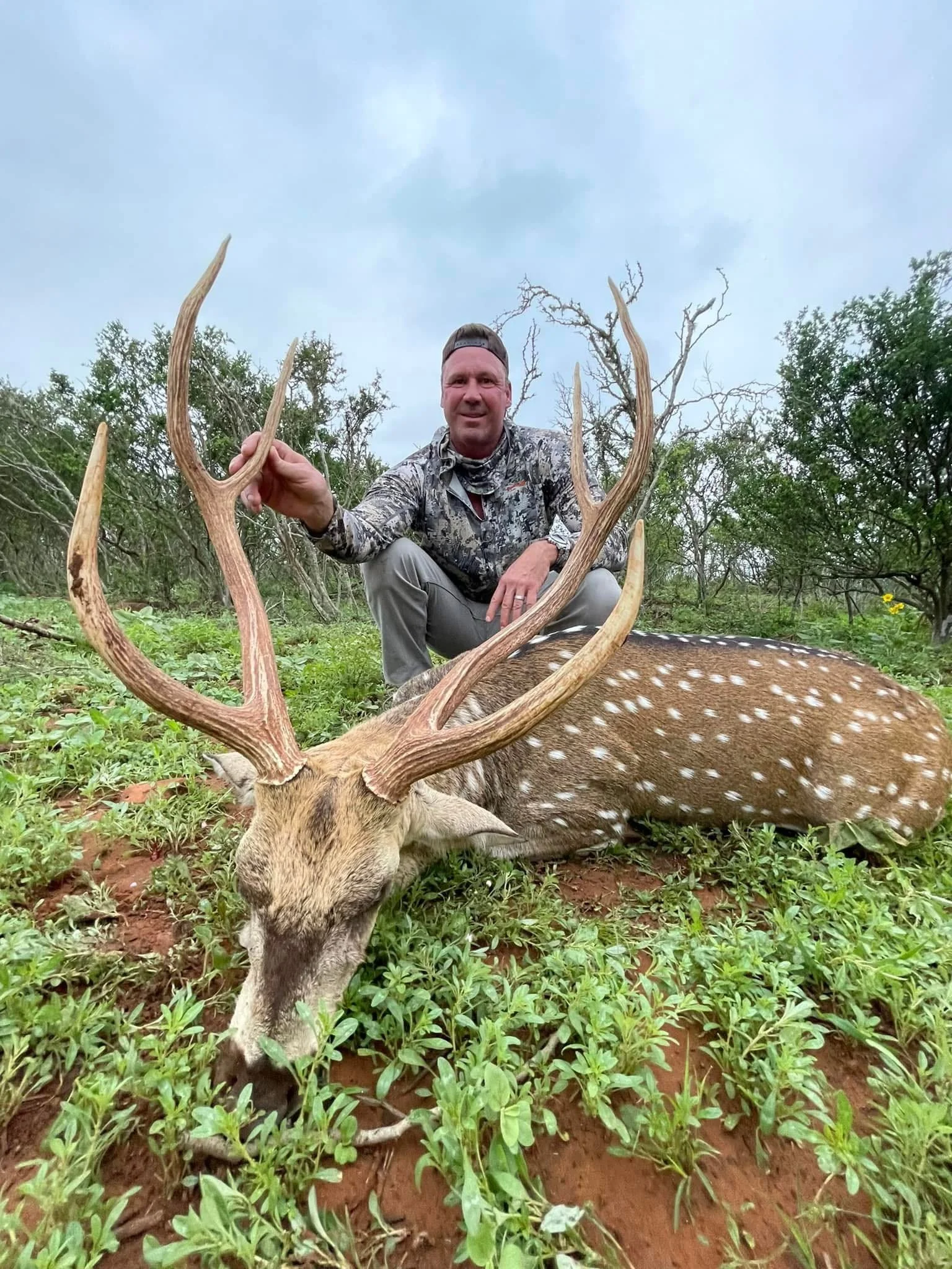 Axis Buck Hunt Texas Hunting Deer Exotics Exotic Big.JPG