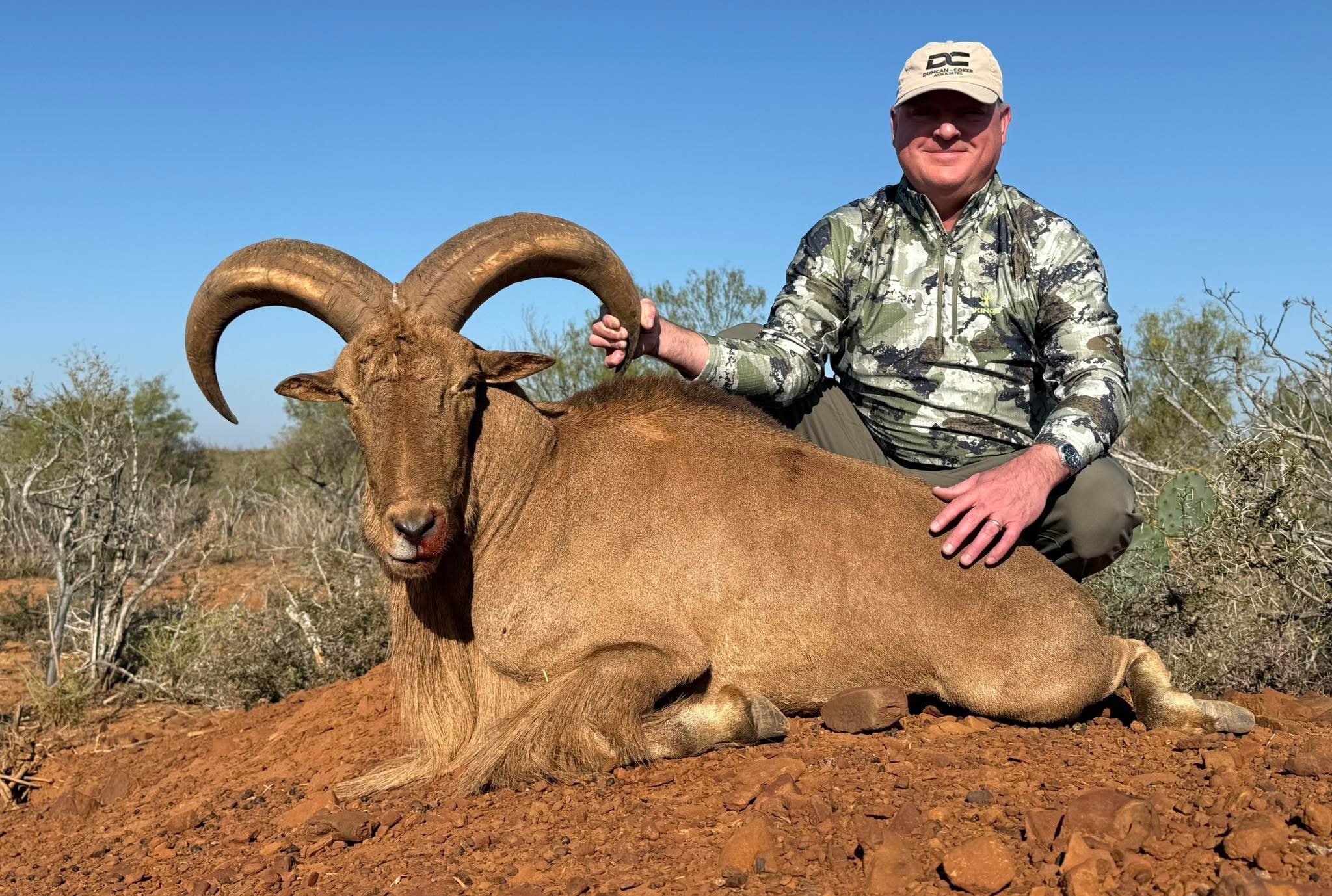 Aoudad Sheep Hunt Texas G2 Ranch Exotic Hunting .JPG