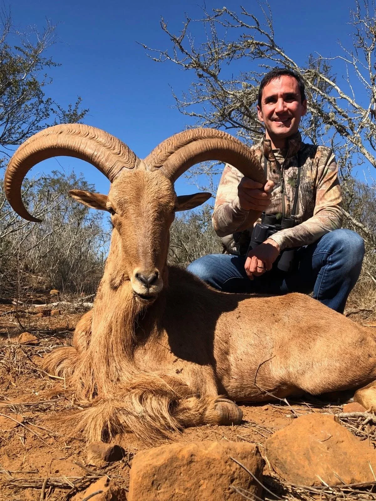 Aoudad Ram Sheep Hunt Texas Hunting G2 Ranch Exotics Exotic.JPG