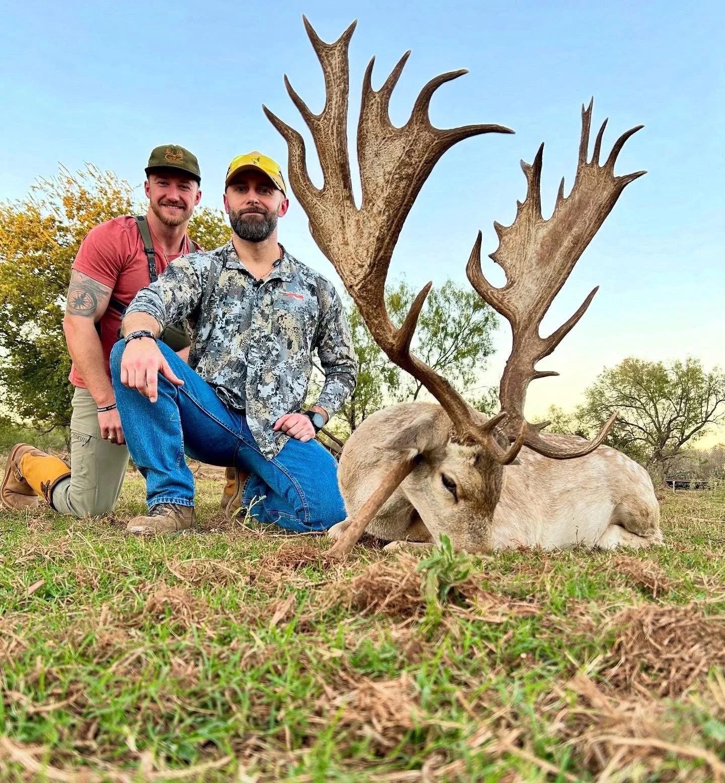 Big Fallow Buck Texas Hunt G2 Ranch Exotic Exotics Hunting.JPG