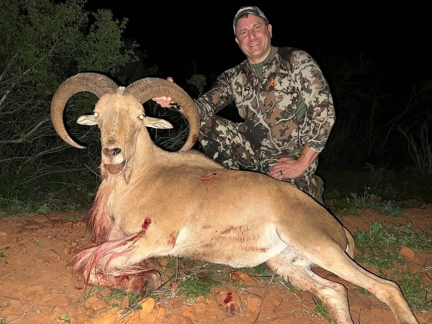 Aoudad Sheep Hunt Texas G2 Ranch Hunting Exotics Exotic.JPG