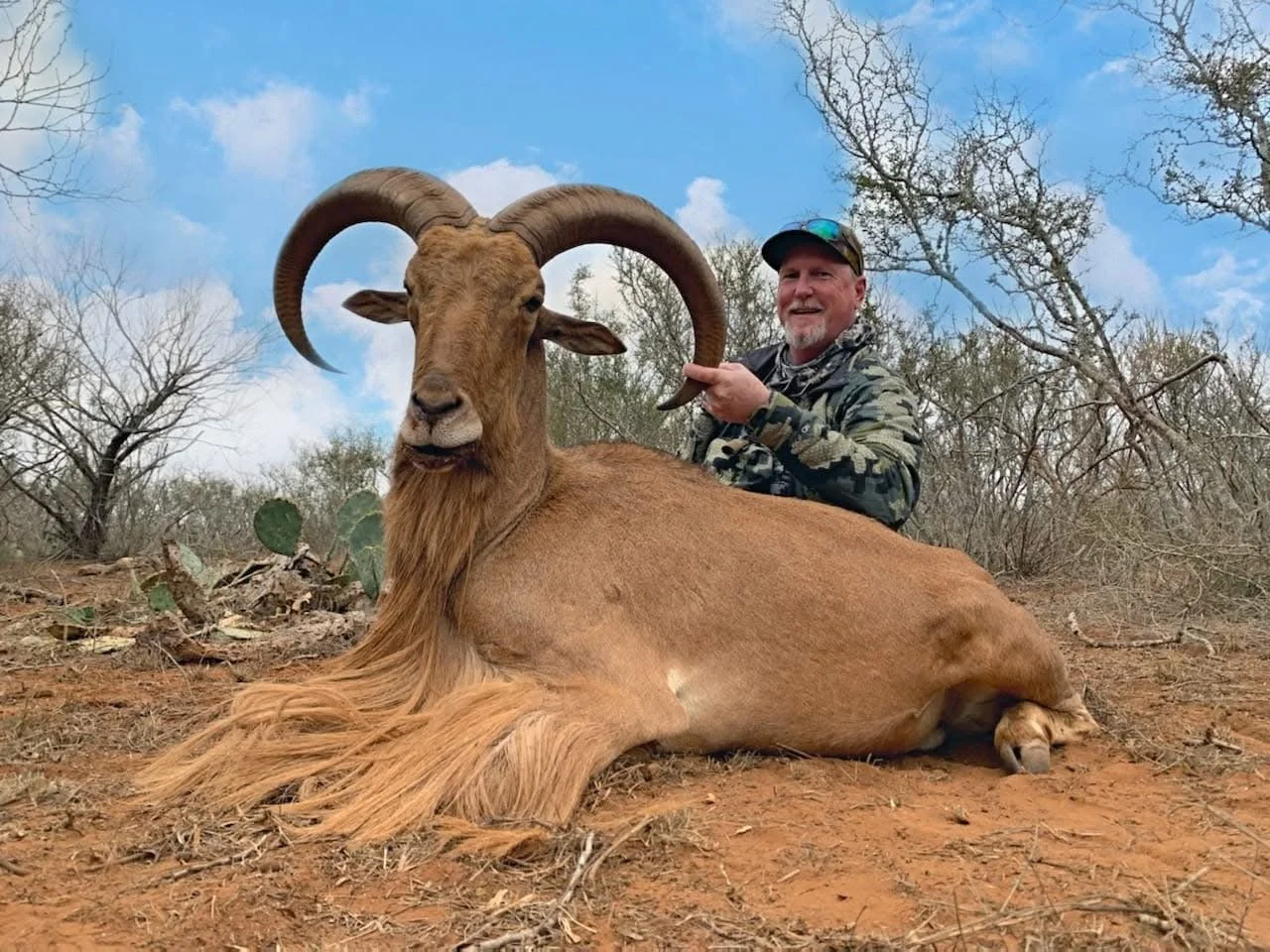 Aoudad Sheep Hunt Ram Texas Hunting G2 Ranch Exotics Exotic.JPG