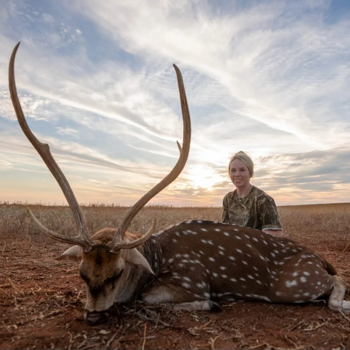 Axis Buck Texas Hunt G2 Ranch Exotic Hunting.JPG