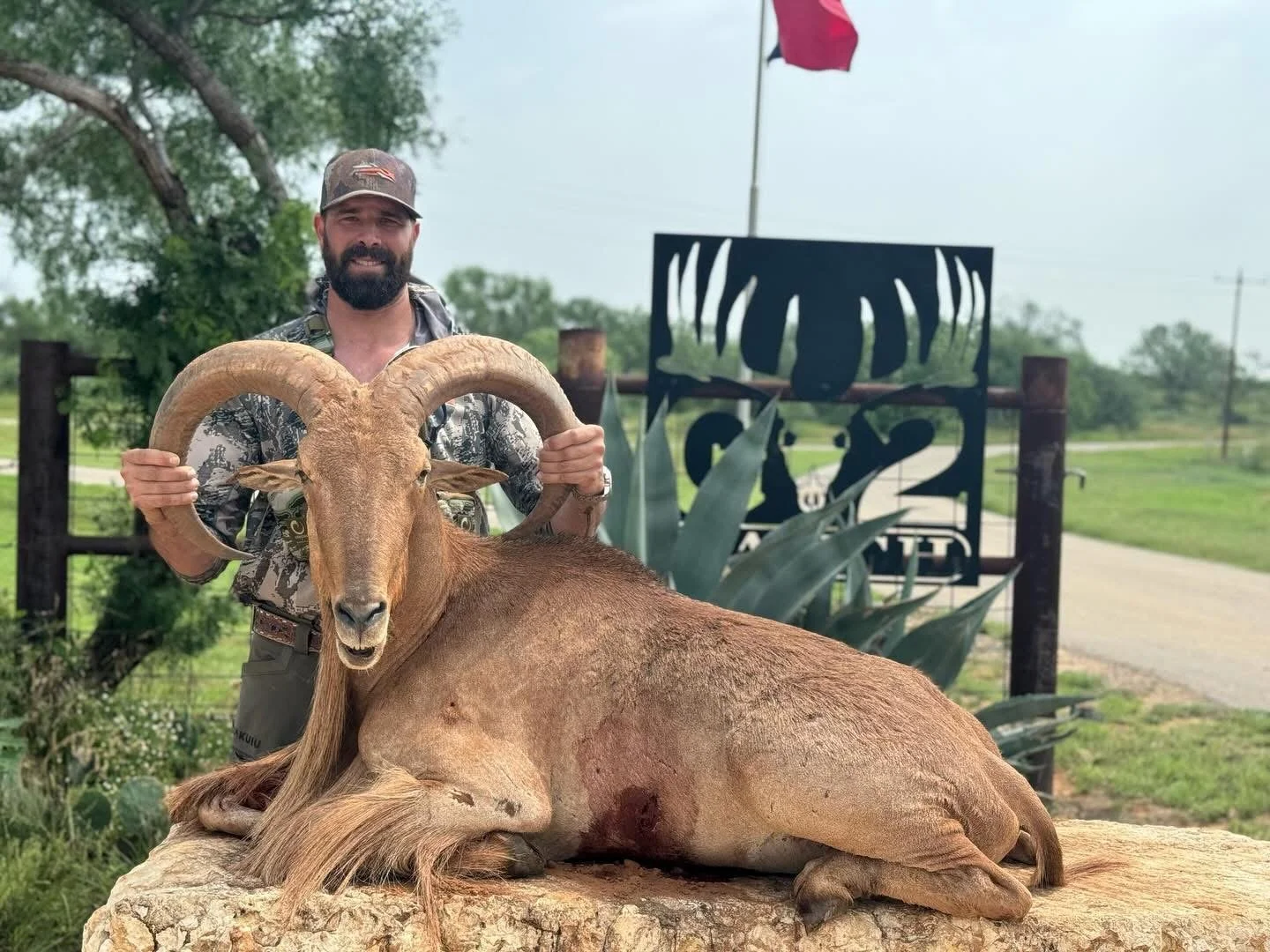 Aoudad Hunting Hunt Sheep Texas G2 Ranch Exotic Exotics.JPG