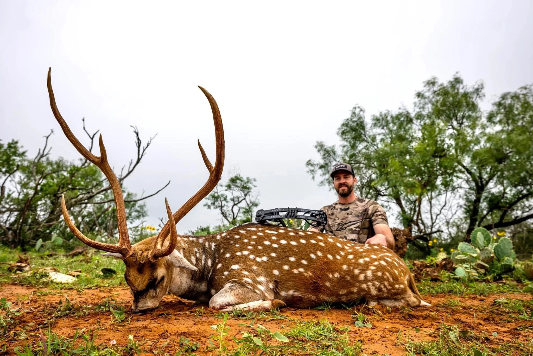 Axis Buck Deer Hunt Texas G2 Ranch Exotic Exotics Big.JPG