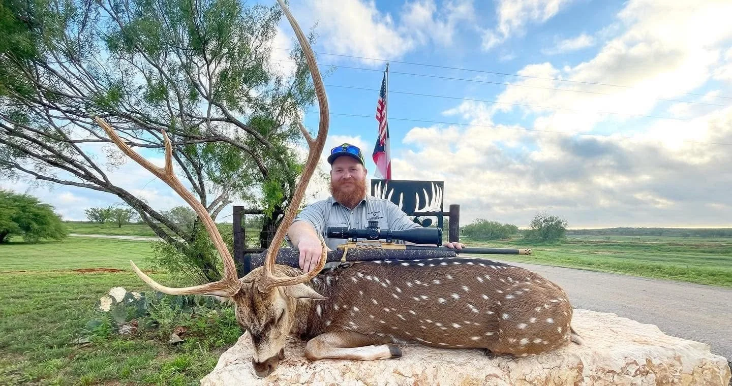Axis Buck Deer Hunting Texas G2 Ranch Exotics Exotic Hunt.JPG