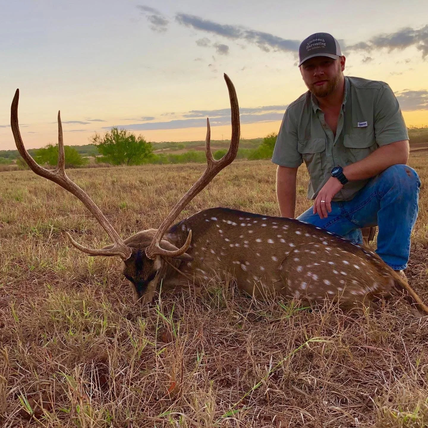 Axis Deer Buck Hunt Hunting Trophy G2 Ranch Exotics Exotic.JPG