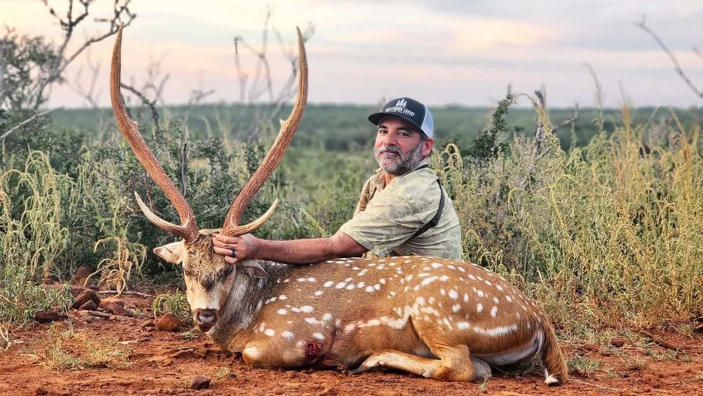 Axis Deer Buck G2 Ranch Texas Hunting Exotic Hunt.JPG