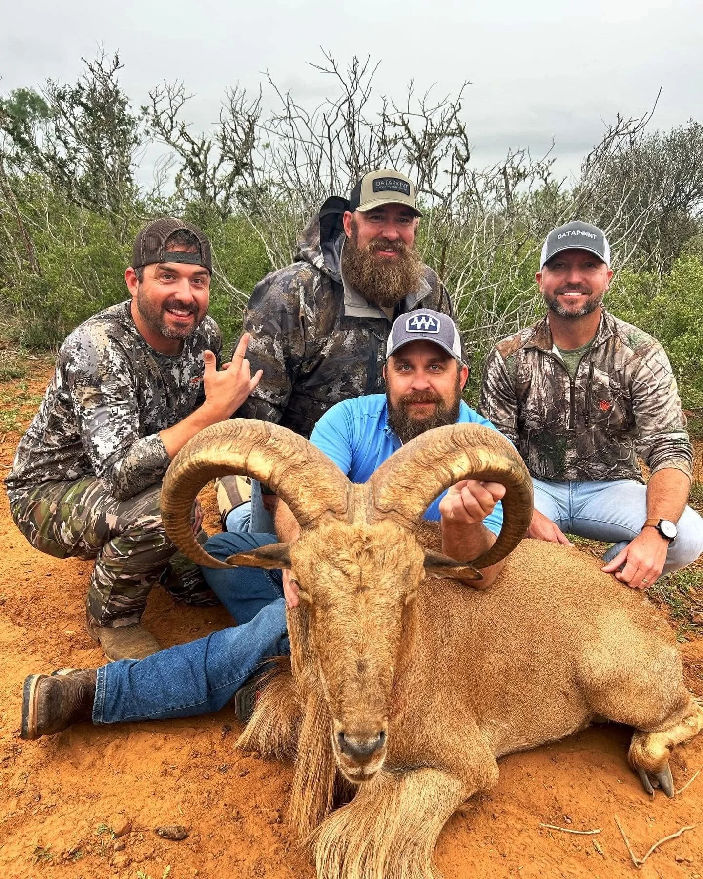 Aoudad Sheep Hunt Texas G2 Ranch Exotic Exotics Hunting.JPG
