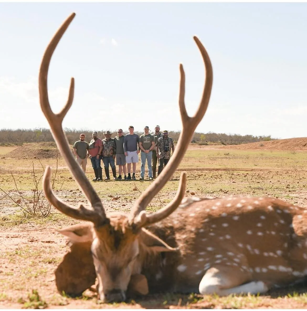 Axis Buck G2 Ranch Texas Hunting Exotic Hunt.JPG