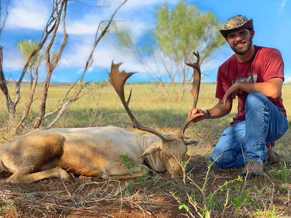 Fallow Deer Buck Texas Hunt G2 Ranch Hunting Exotic Exotics White.JPG