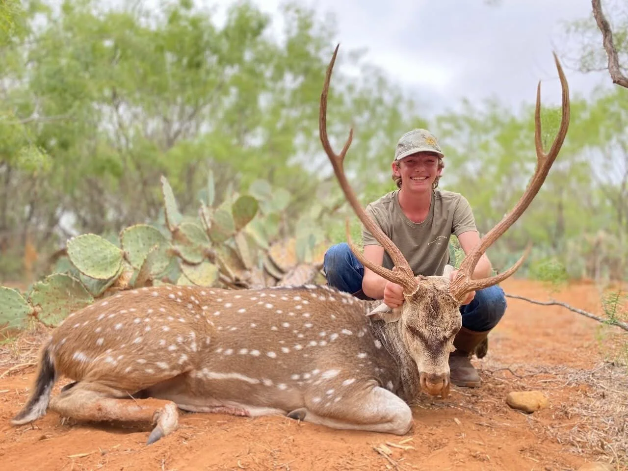 Axis Buck Deer Hunt Texas Hunting G2 Ranch Exotic Exotics.JPG
