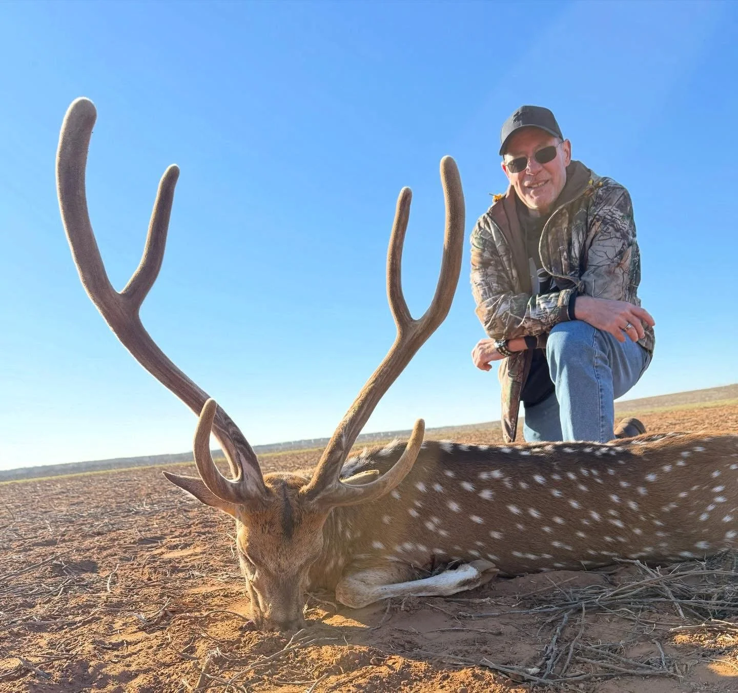 Velvet Axis Buck G2 Ranch Texas Exotics.JPG