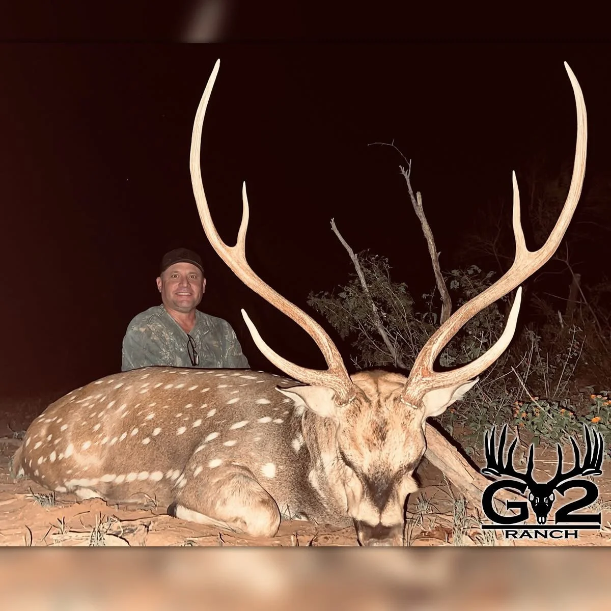 Axis Buck G2 Ranch Texas Hunt Hunting Exotic Exotics.JPG