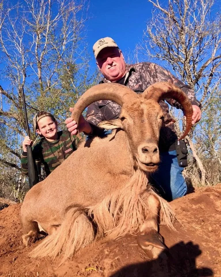 Aoudad Hunt Texas Sheep G2 Ranch Hunting Exotic Exotics Ram.JPG