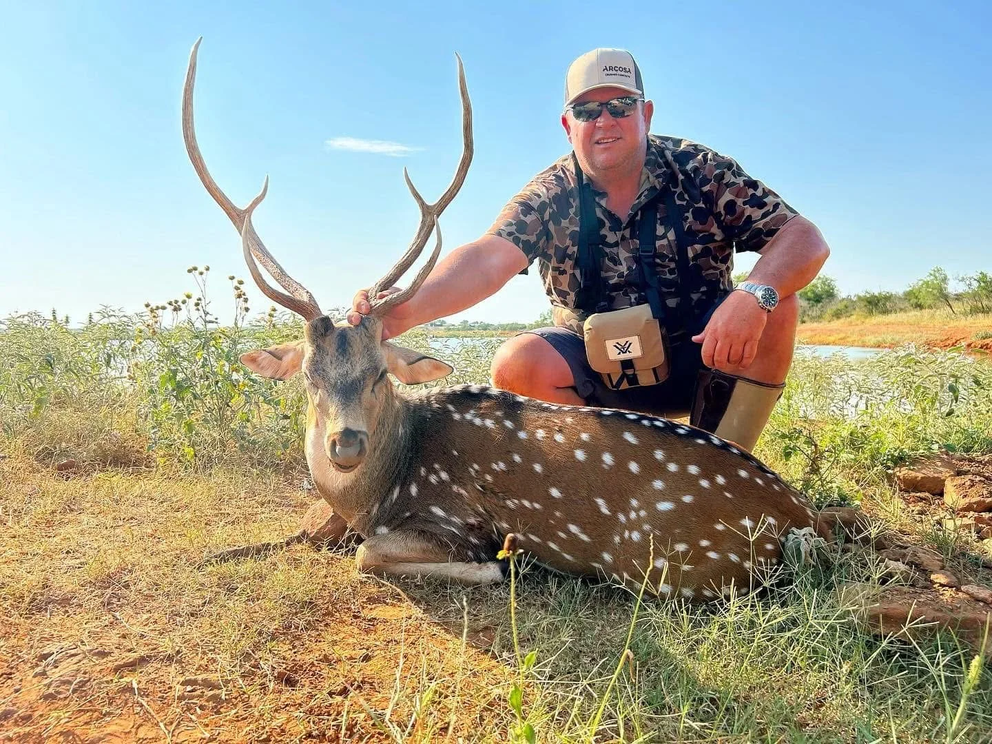 Axis Buck Texas Hunt G2 Ranch Hunting Exotic Exotics.JPG