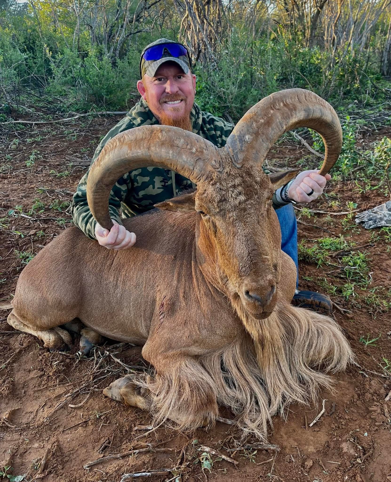 Aoudad Sheep Hunt Texas G2 Ranch Hunting Exotic Exotics.JPG