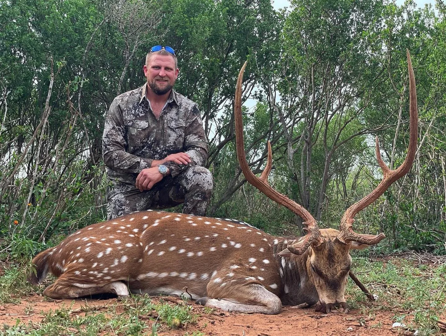 Axis Buck Deer Texas Hunting G2 Ranch Hunt Exotic Exotics.JPG