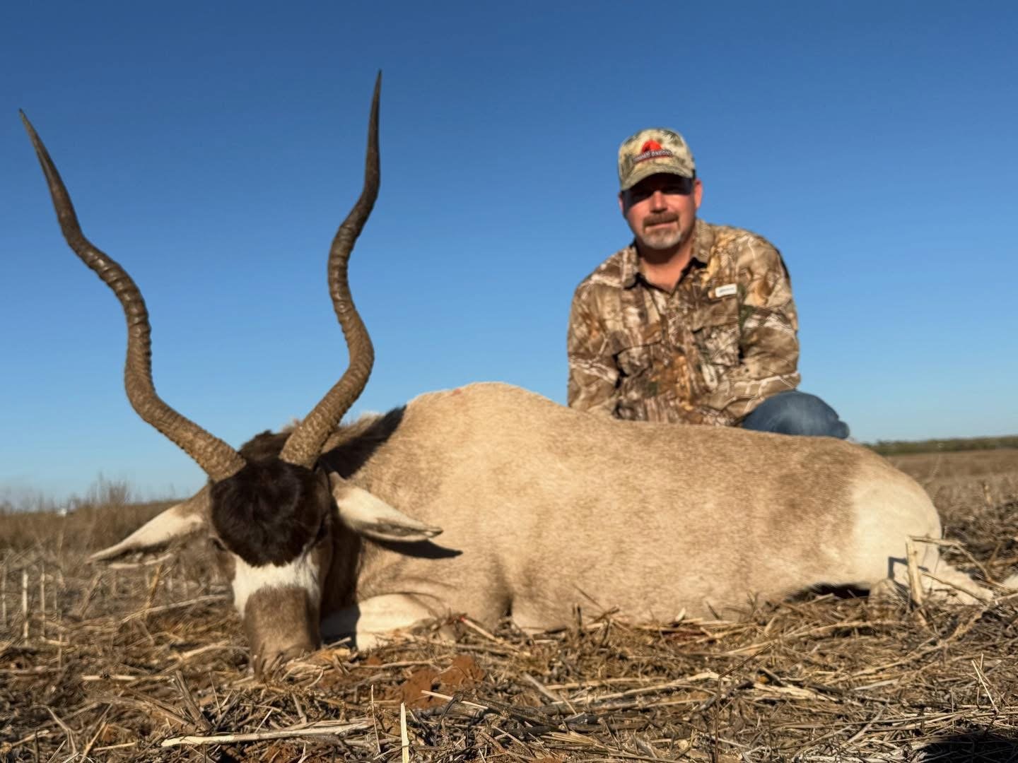 Addax Hunt Texas G2 Ranch Africa Safari Hunting Exotics.JPG
