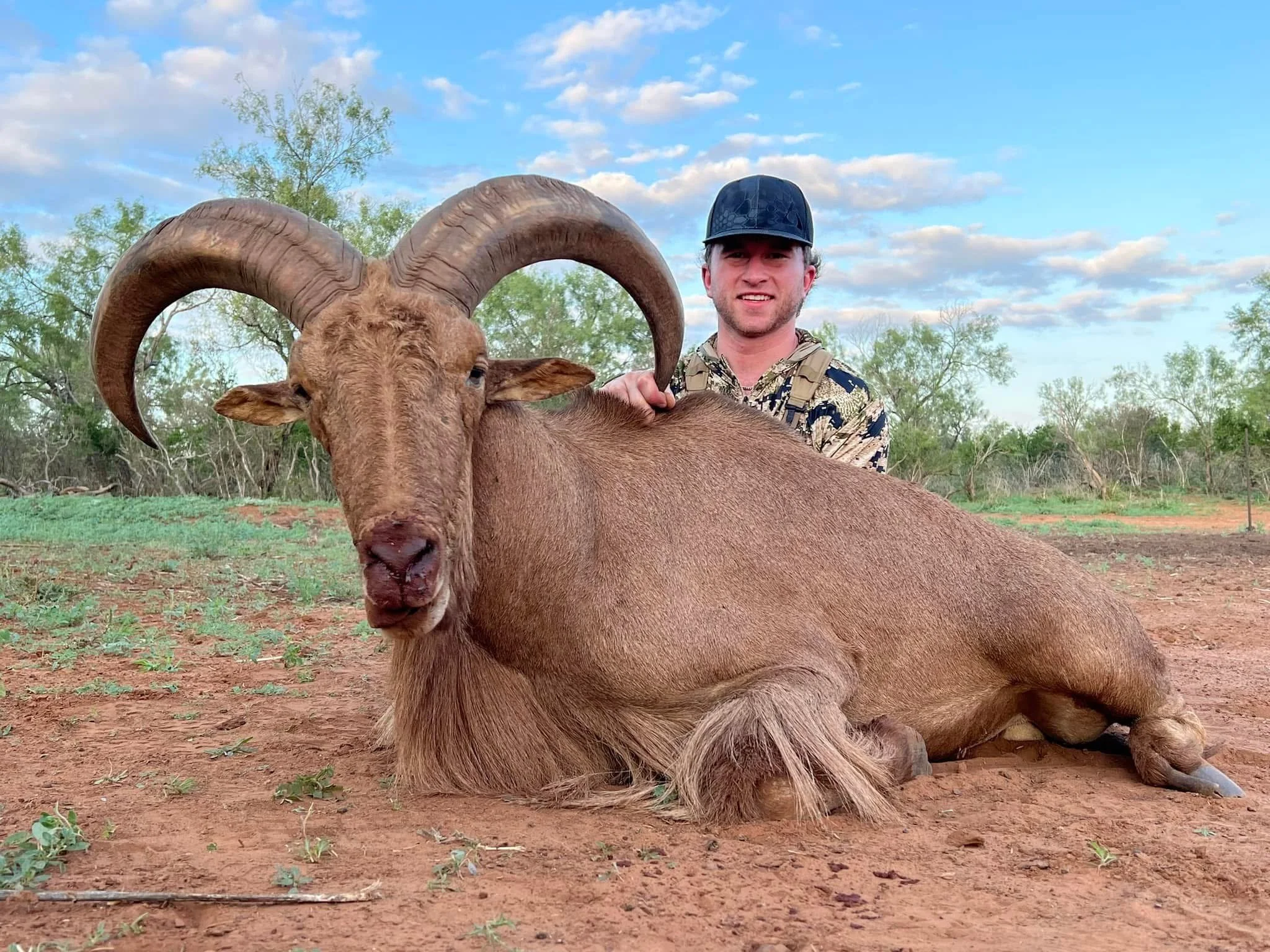 Aoudad Hunt Texas G2 Ranch Exotic Exotics Hunting.JPG