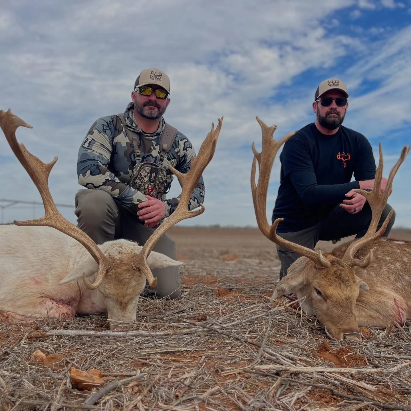 Fallow Buck Hunt Deer Texas G2 Ranch Exotic Hunting.JPG