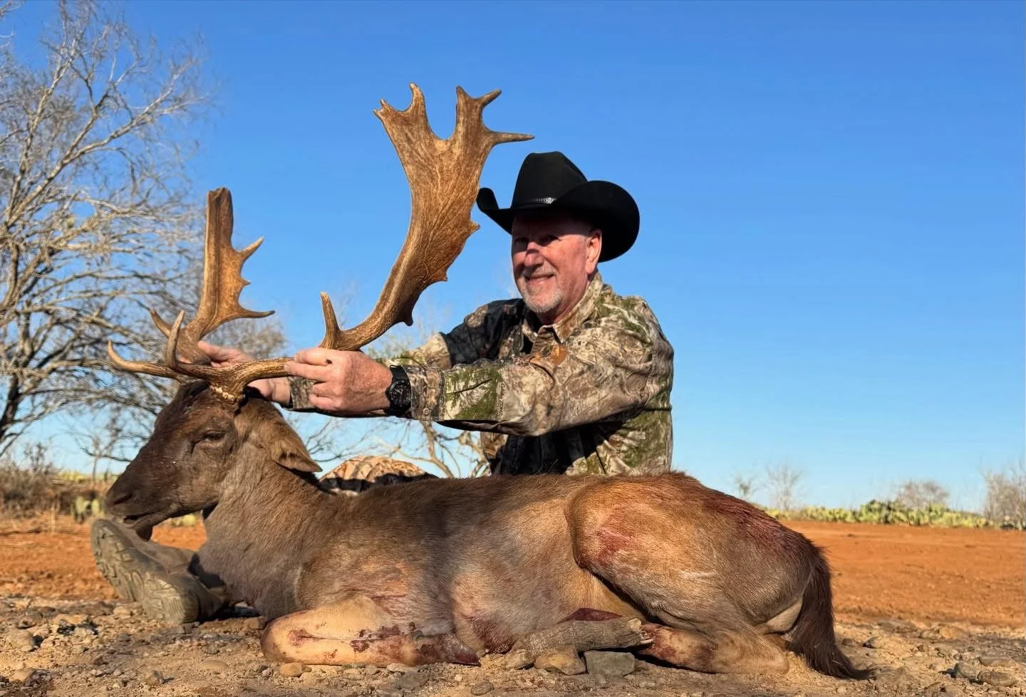 Fallow Buck Deer Hunt Texas G2 Ranch Exotic Animals.JPG