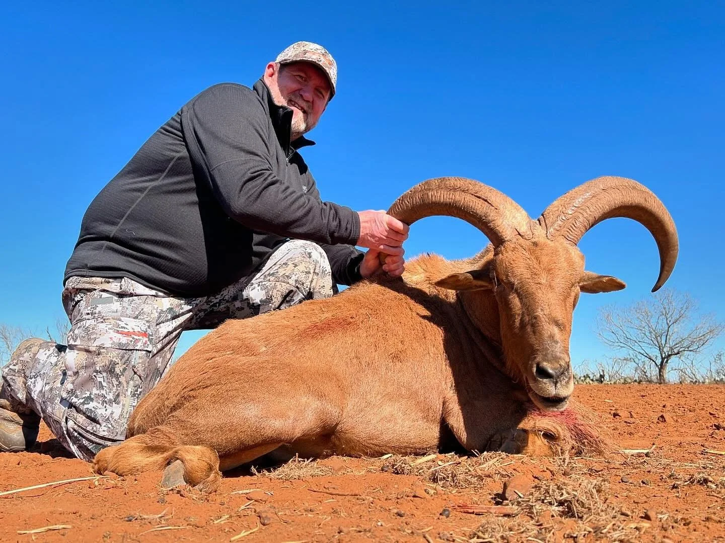 Aoudad Sheep Hunt Texas G2 Ranch Exotic Hunting Safari.JPG