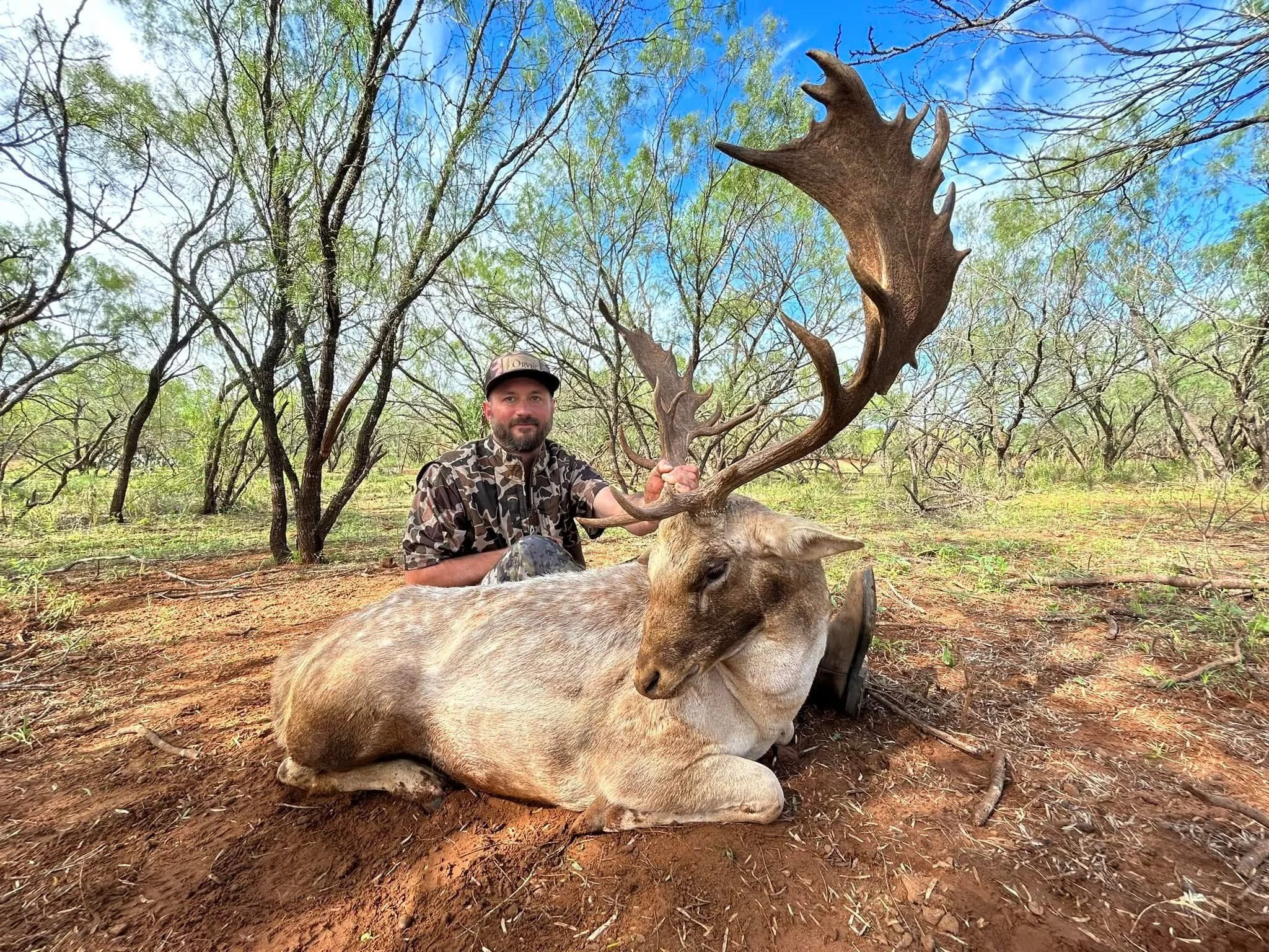 Fallow Buck Deer Hunt Texas G2 Ranch Hunting Exotic Exotics.JPG
