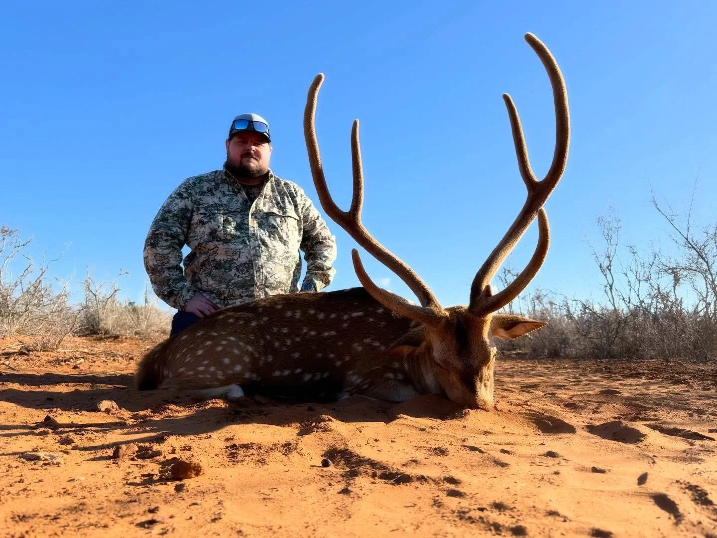Texas Axis Buck Hunt G2 Ranch Exotics.JPG