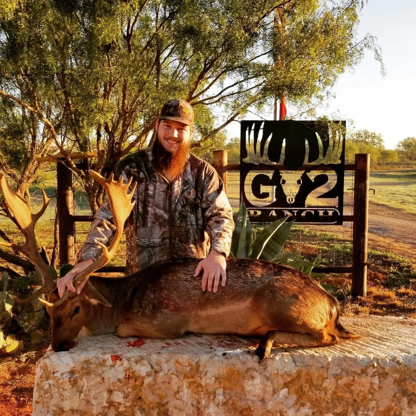 Fallow Trophy Deer Hunt Texas Spotted Hunting G2 Ranch Exotic Exotics Hunting.JPG