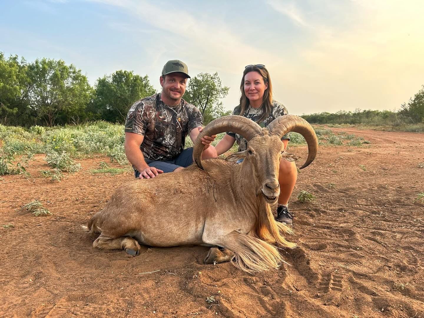 Aoudad Sheep Ram Hunt Texas G2 Ranch Hunting Exotic Exotics.JPG