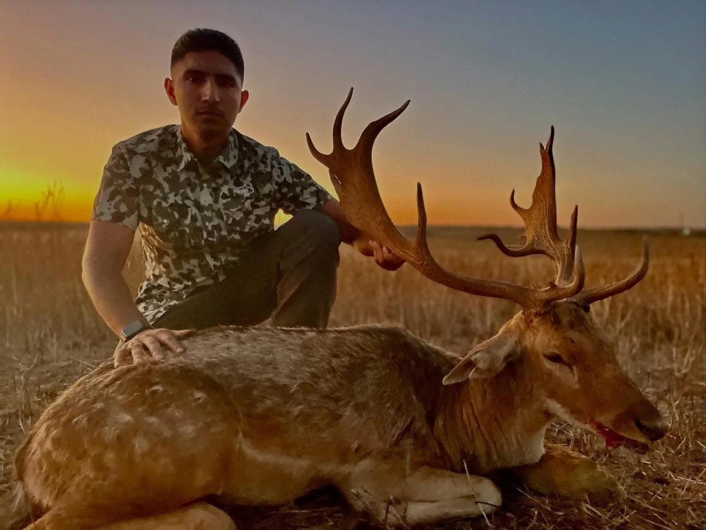 Fallow Buck Texas Hunting G2 Ranch Exotics Hunting.JPG