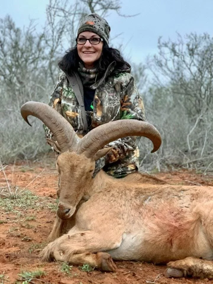 Aoudad Sheep Trophy Hunt Texas Hunting Hunt G2 Ranch Exotic Exotics Ram.JPG