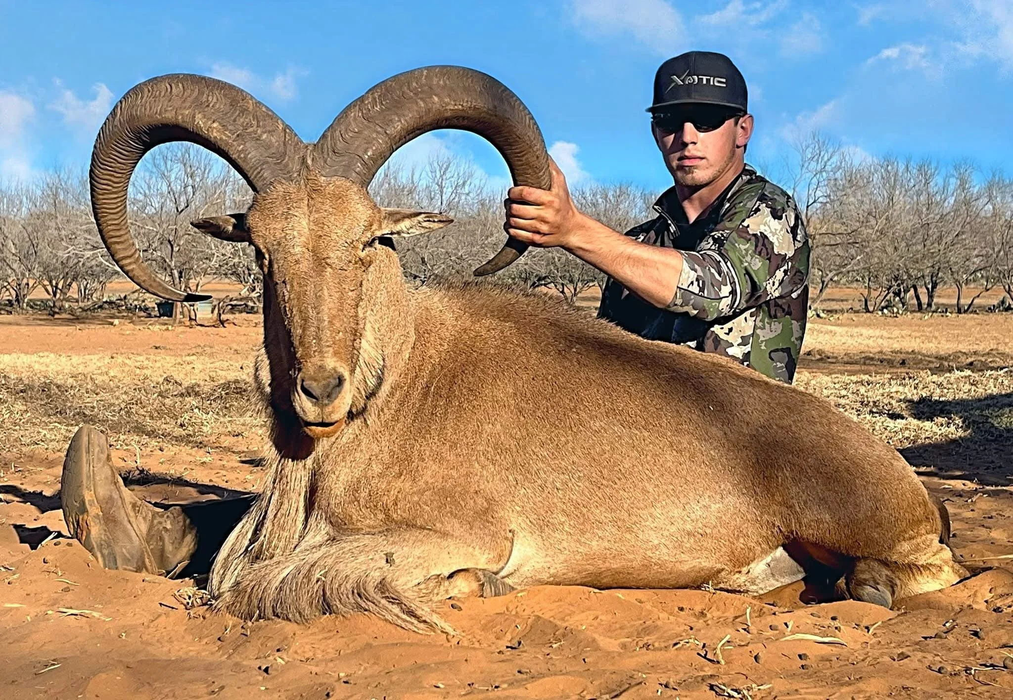 Aoudad Sheep Ram Hunt Texas G2 Ranch Hunting Exotic Exotics Sheep.JPG